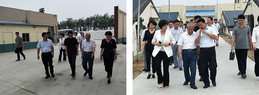 新聞=省委胥秘書長與省農(nóng)業(yè)農(nóng)村廳楊廳長一行及市、縣等領(lǐng)導，來我司視察01.jpg