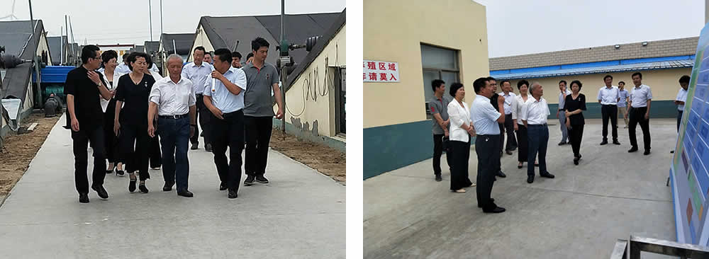 新聞=省委胥秘書長與省農(nóng)業(yè)農(nóng)村廳楊廳長一行及市、縣等領(lǐng)導，來我司視察02.jpg
