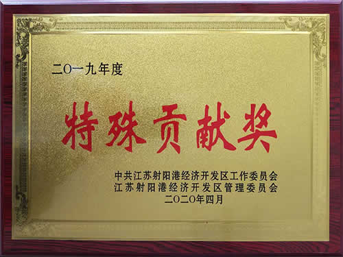 2019年度特殊貢獻(xiàn)獎