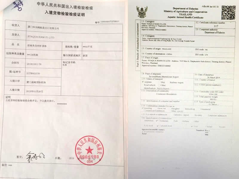 親蝦檢測報(bào)告